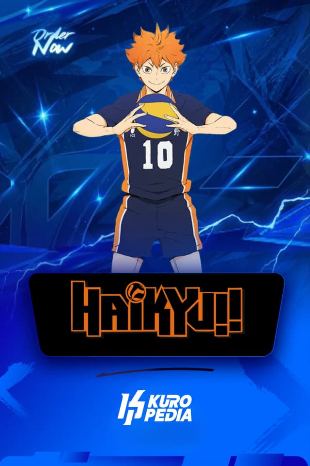 Haikyu Fly High